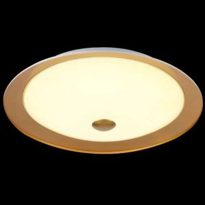 Настенно-потолочный светильник светодиодный Euler золото LED 12W 220V арт. CL815-PT35-G ― интернет-магазин Свет Вокруг