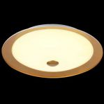 Настенно-потолочный светильник светодиодный Euler золото LED 12W 220V арт. CL815-PT35-G