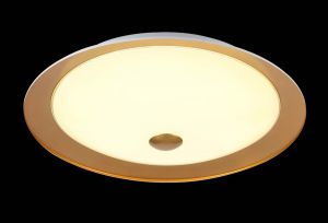 Потолочный светильник светодиодный Euler золото LED 24W 220V арт. CL815-PT50-G ― интернет-магазин Свет Вокруг